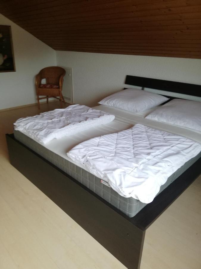 Apartment / Monteurswohnung In Ruhiger Waldlage Borghees